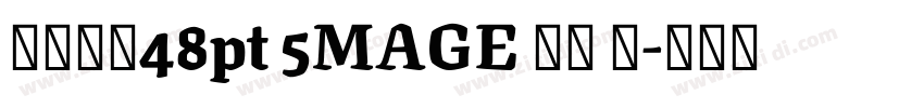 字体大小48pt 5MAGE 预览 简字体转换